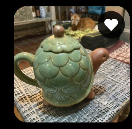 rio 🪲 bug oomf tweet media