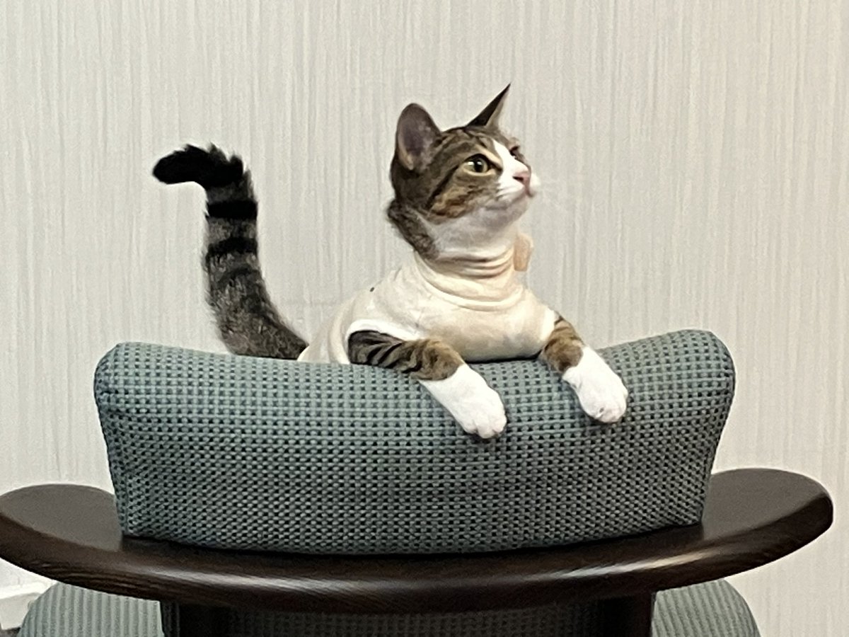 小松朗宏【公式】 tweet media