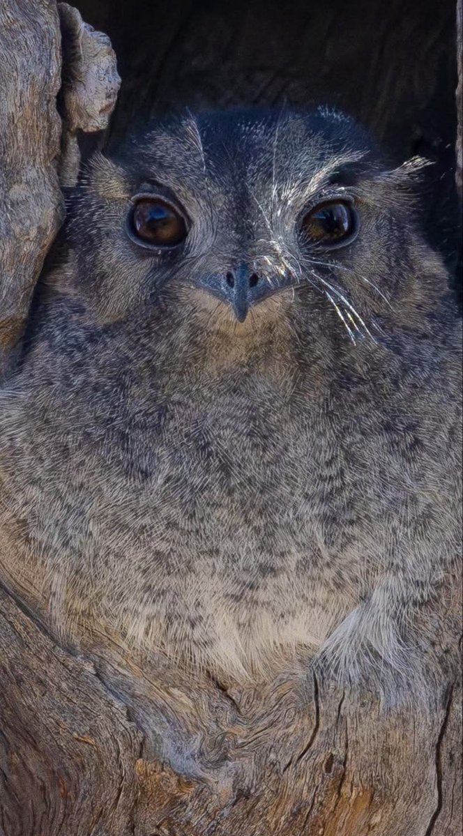 Craig Smith tweet media