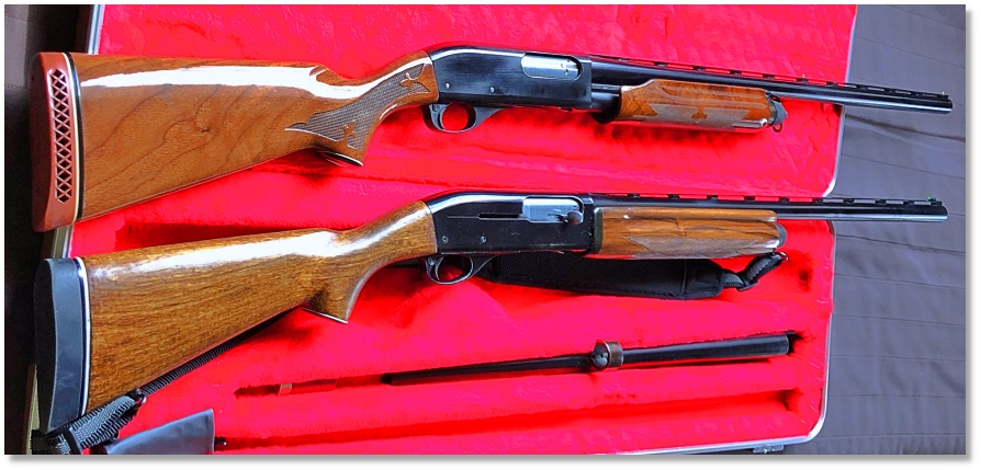 ムタマック tweet media