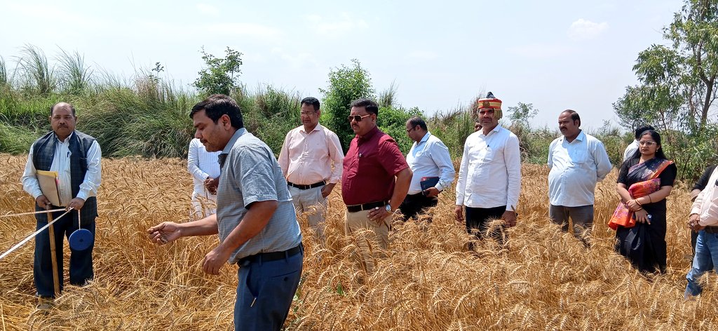 DM Amethi tweet media