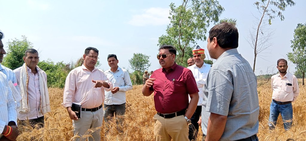 DM Amethi tweet media