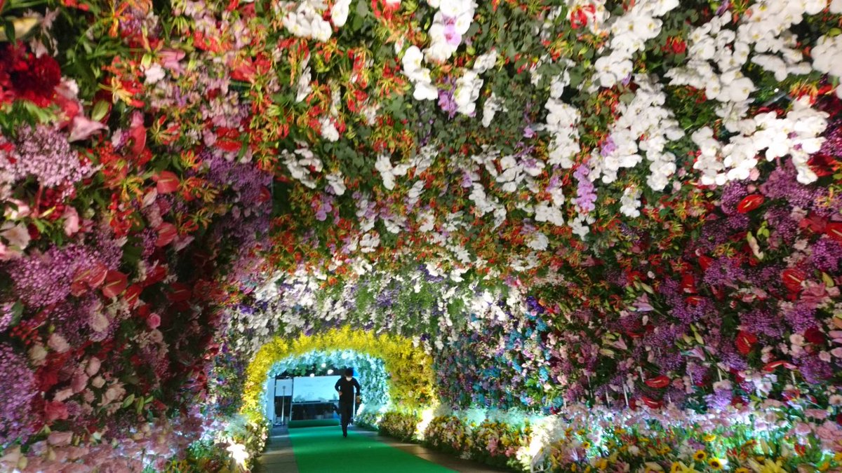 u_ts_emi_13's tweet photo. @Shikinagi_2434 #凪友47都道府県
熊本です！花博は花のアーケードが綺麗で見所です。阿蘇グリーンランドは古き良きローカル遊園地です。グリーンランドとのコラボ待ってます！ https://t.co/Ypmpn8krax