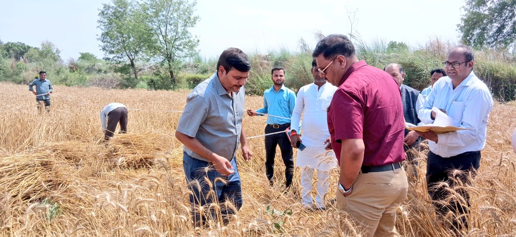 DM Amethi tweet media