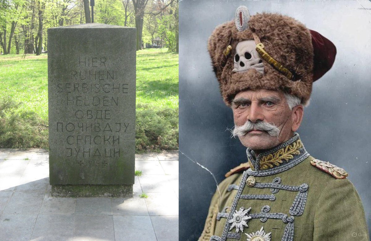 Die ganze Geschichte tweet media