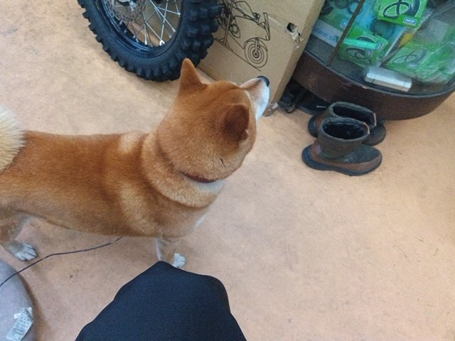 つきＲ tweet media