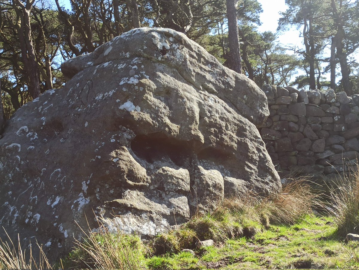 QuantrillTim's tweet photo. Interesting rock above Addingham in West Yorkshire @gow_derek - LOUP carved into one face but I can't find any records of the rock being named, like a lot on Rombalds (Ilkley) Moor are. Loup Scar at Burnsall is a few miles away as are other wolf rocks/crags in North Yorkshire https://t.co/CYfyzxQjhX