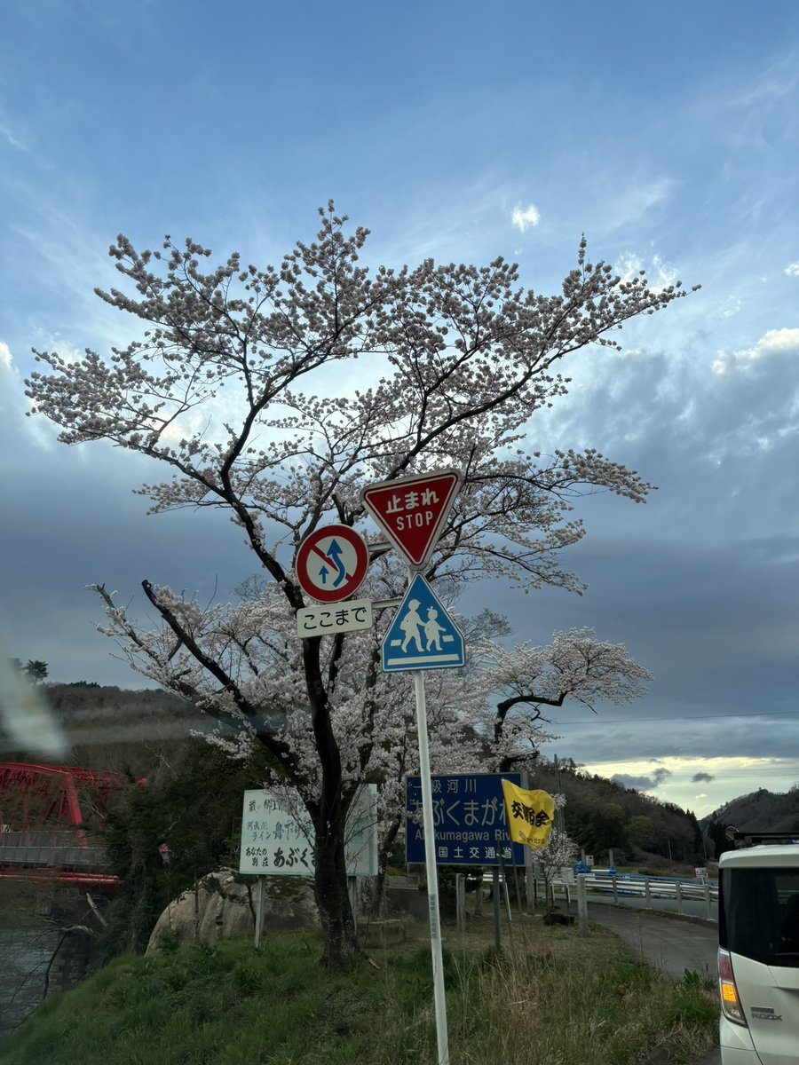 ねっつ🐰🍜 tweet media