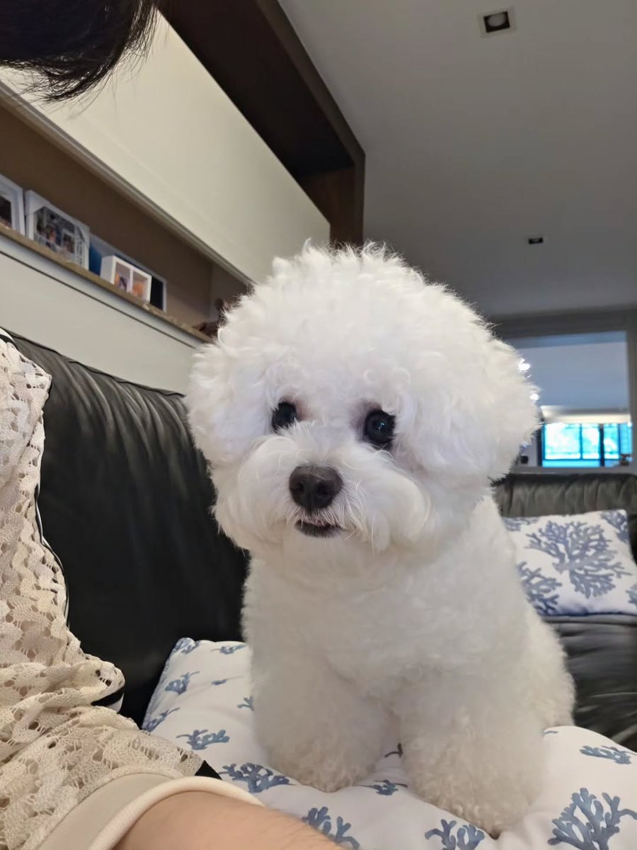 ⭐ ✧ 𝙵𝚎𝚛𝚗𝚗𝚢🌷~มัมหมีบอมมุ💜 ✧ tweet media