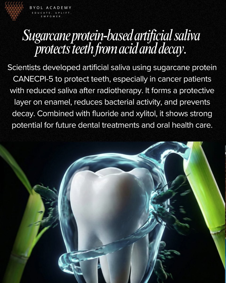 BYOL STEM tweet media