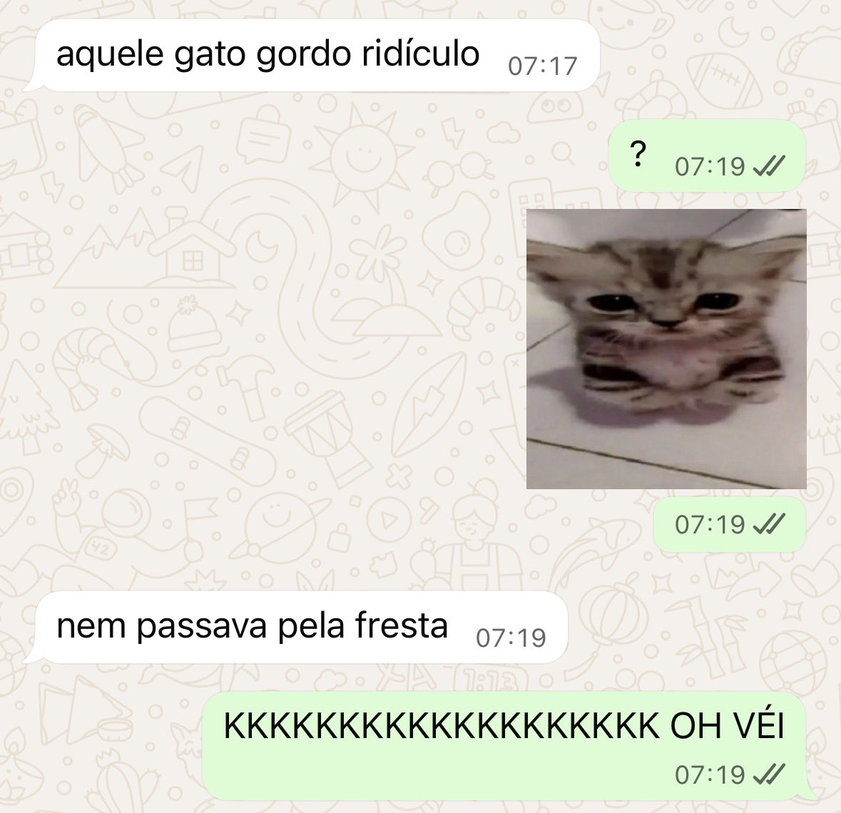 zZznasc's tweet photo. Furo de roteiro a fresta que a teca deixou nem passava o gato https://t.co/uoD869fo2r