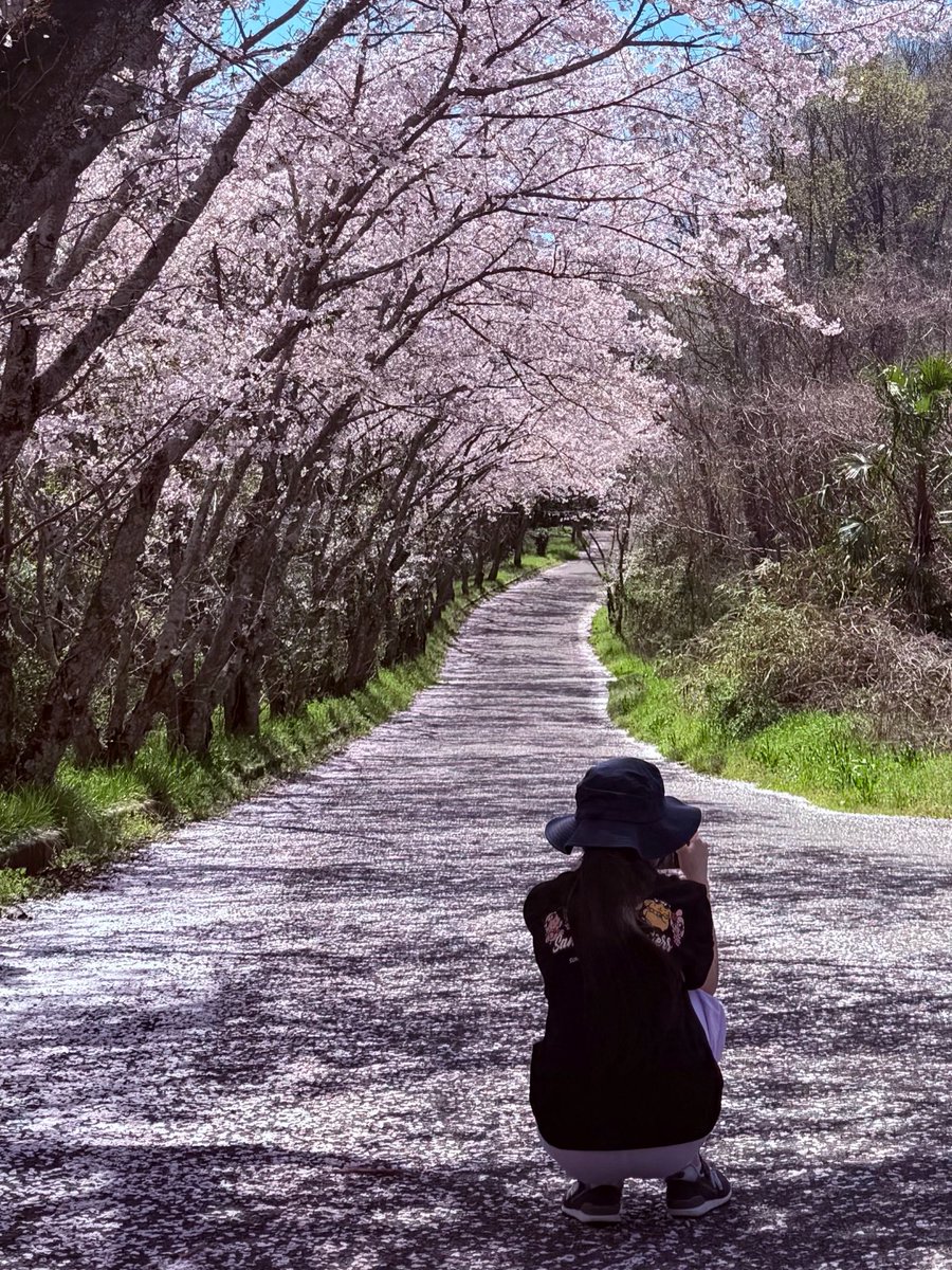 🏖️うーみー（海）🌊 tweet media