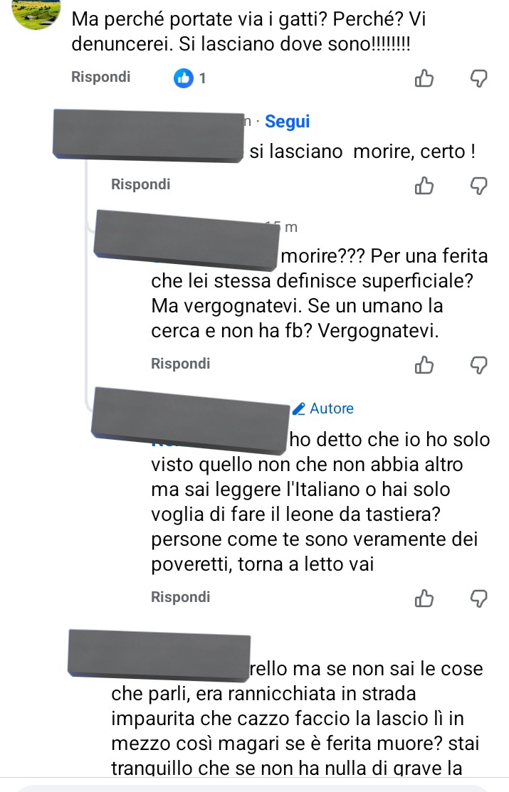 ⊙⊝⊜ tweet media