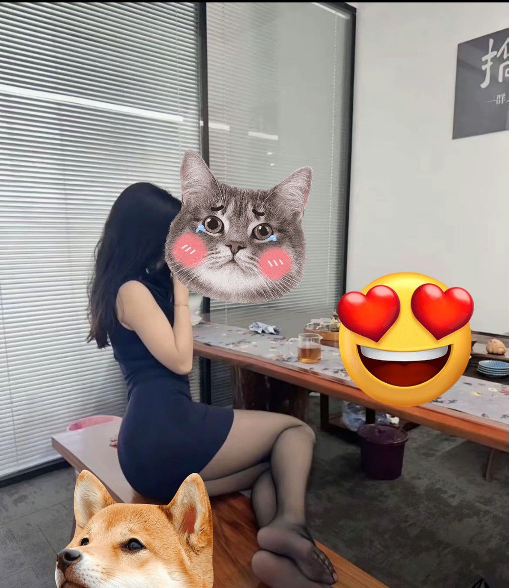 虞美人 tweet media