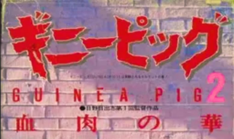 玲子 (REIKO) 🍬🍭🫧 tweet media