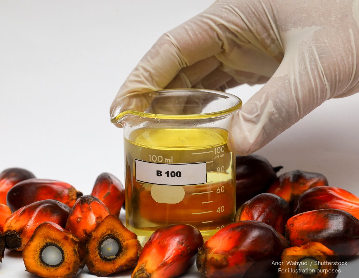 BFM News tweet media