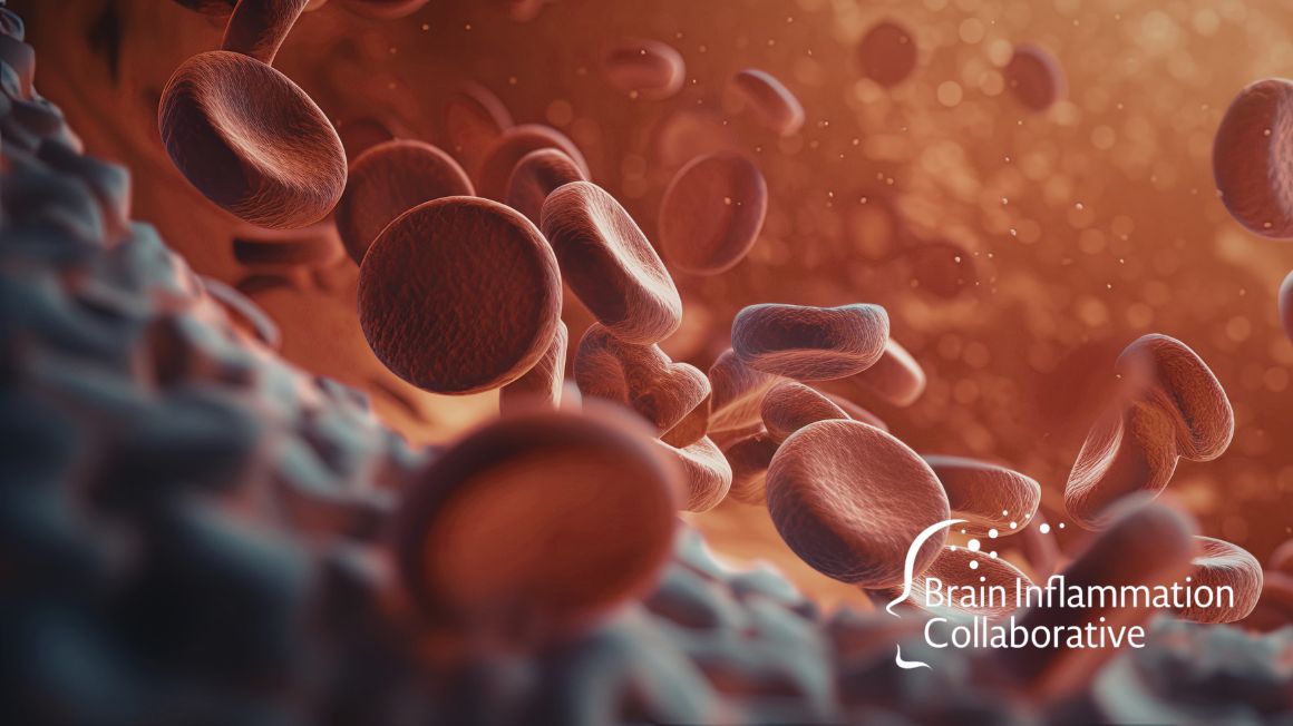 Brain Inflammation Collaborative tweet media