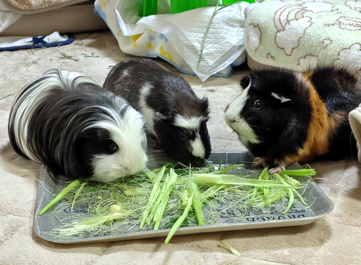 なんとなーく仲良さそうにみえるでしょ？🤭