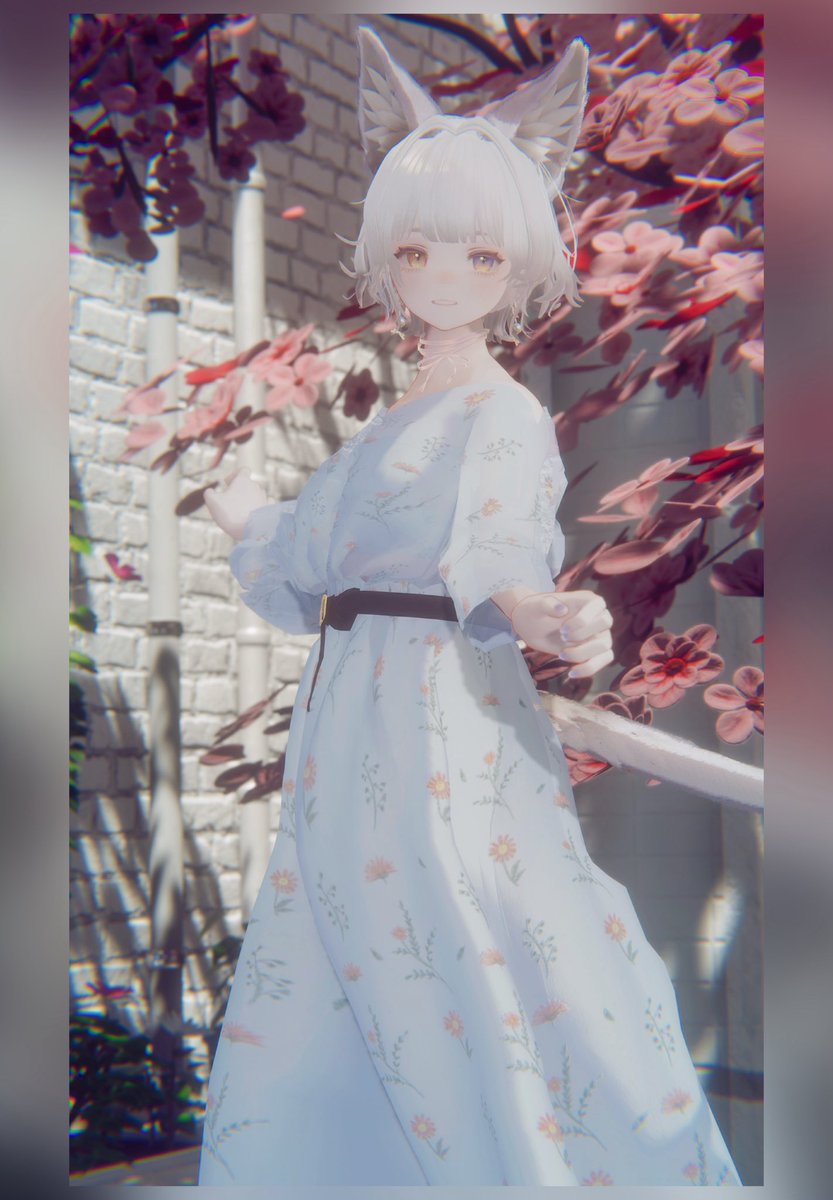 akanchan▼ tweet media