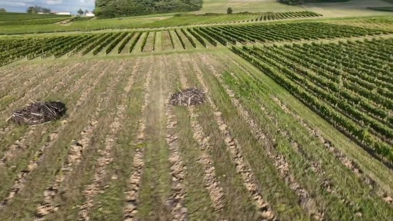 Gavroche tweet media