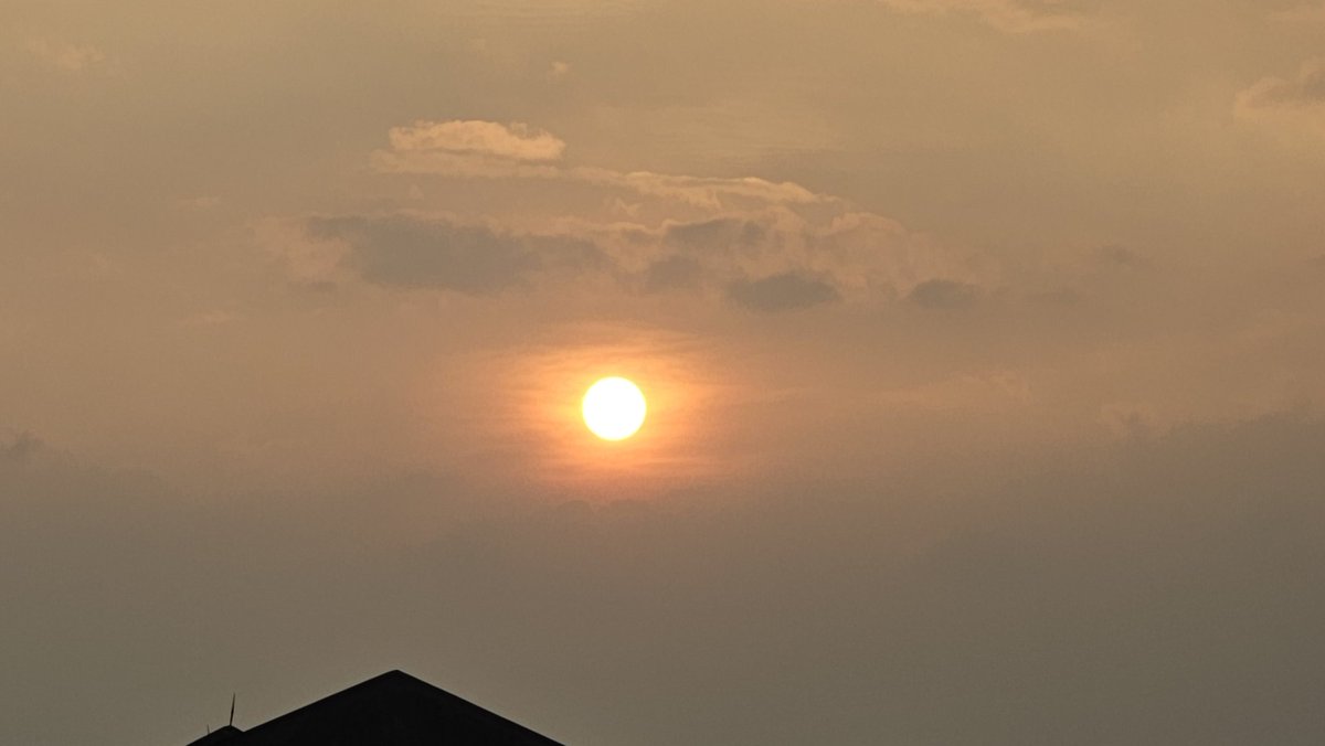 tanipon🌴 tweet media