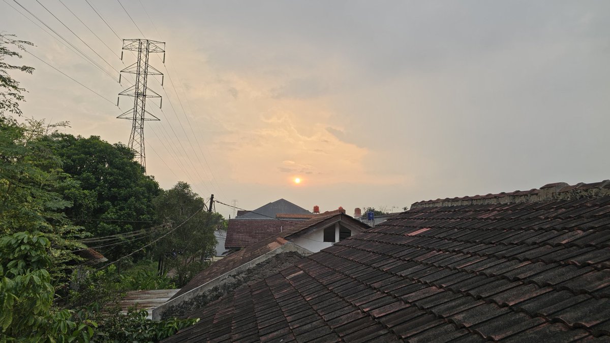 tanipon🌴 tweet media