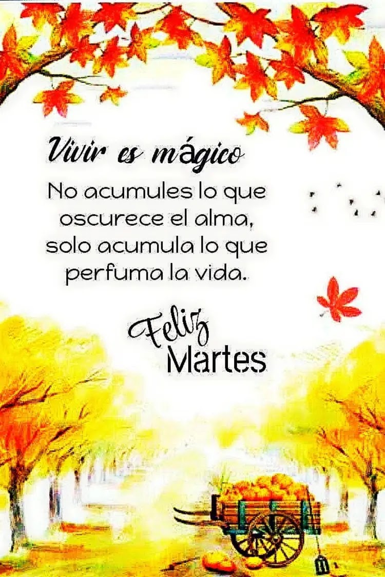 Cecilia...💙💎💙 tweet media