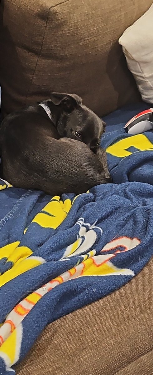 )| SHΛKTI |(🏳️‍🌈🎧♋️ tweet media