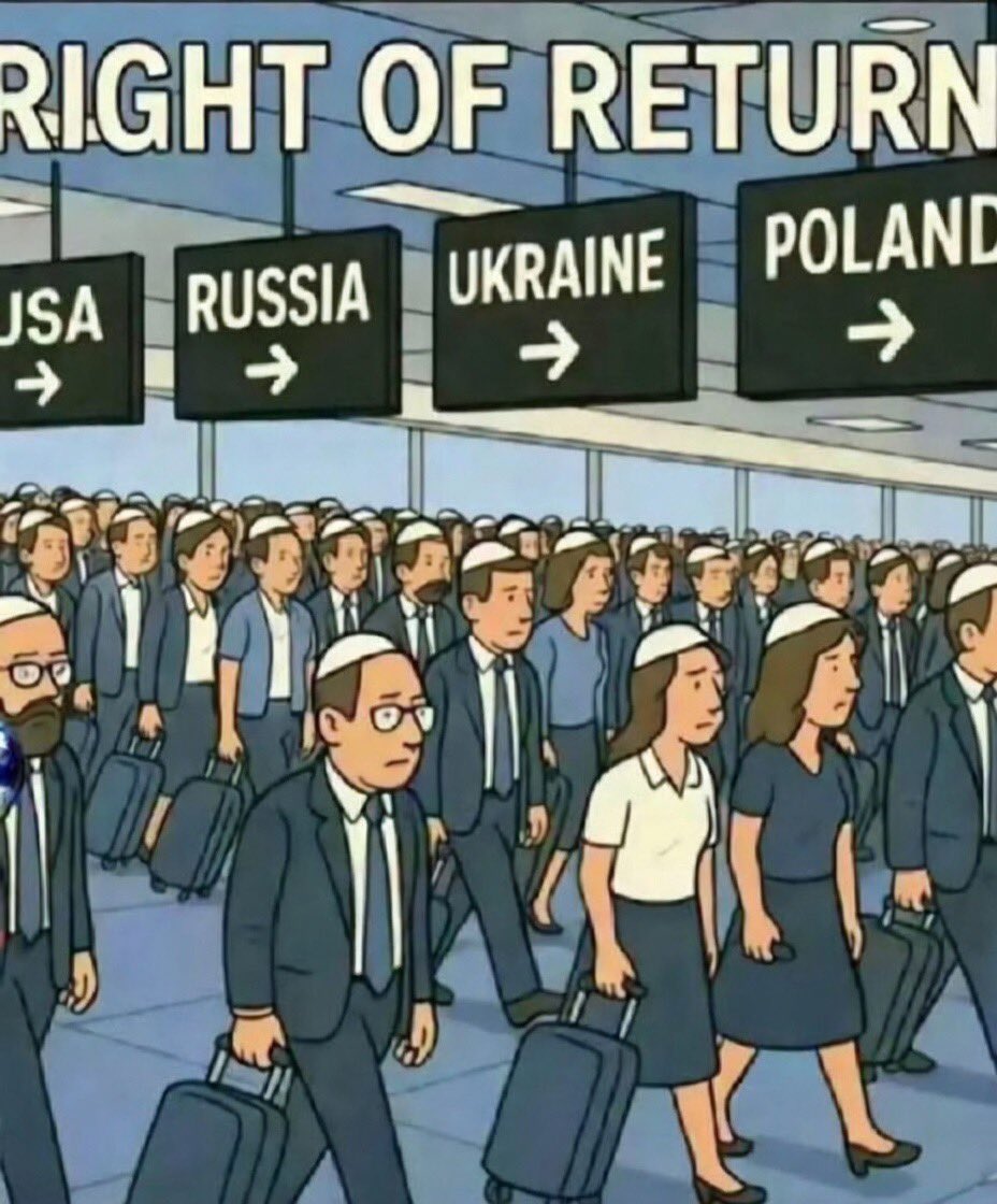 Mehmet Güven🇹🇷🇵🇸 tweet media