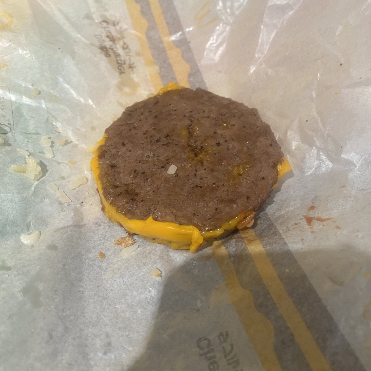 Noemi Hestia 🕊️🏳️ tweet media