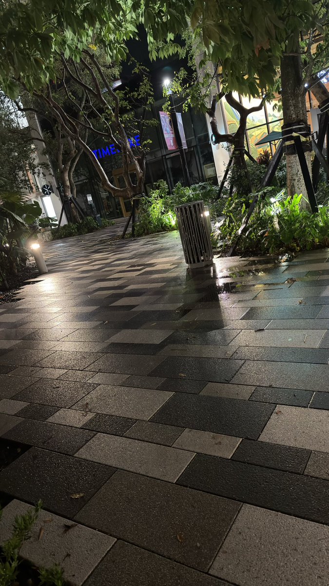 Seekaplayer tweet media