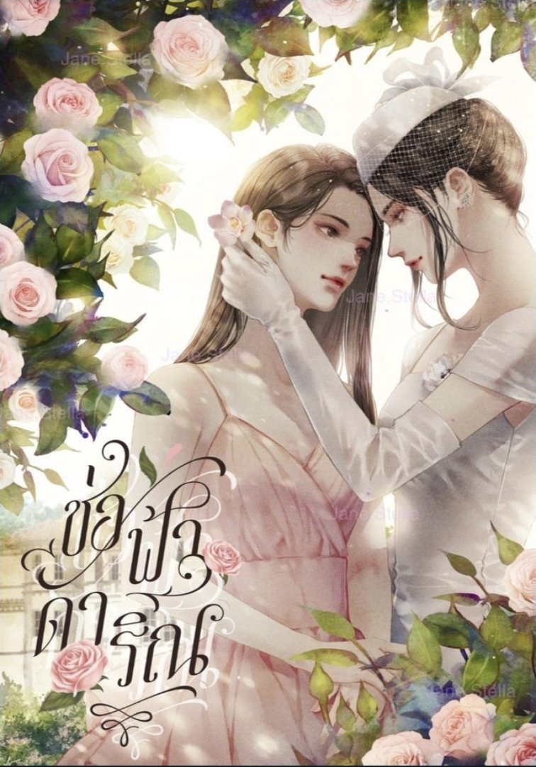 film's wife ❤️🩹 tweet media