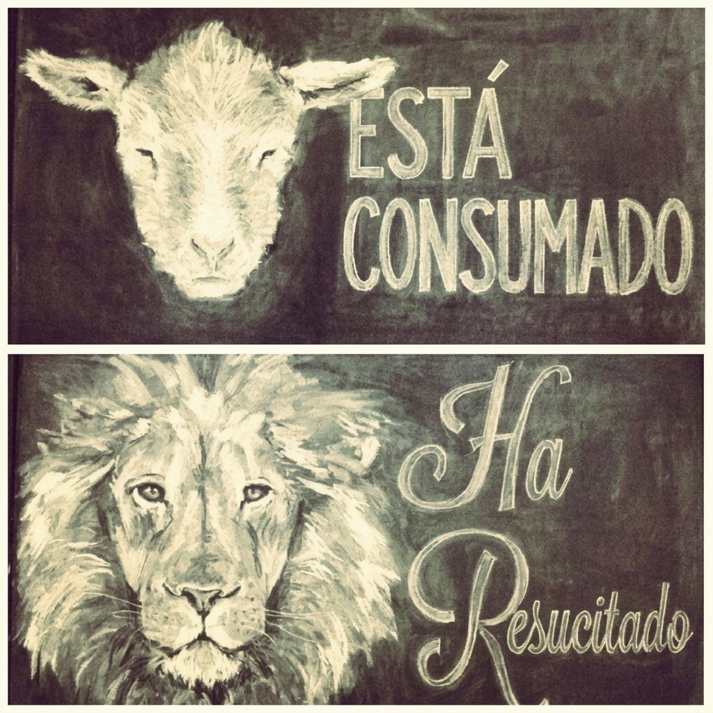 Ojo al Cielo tweet media