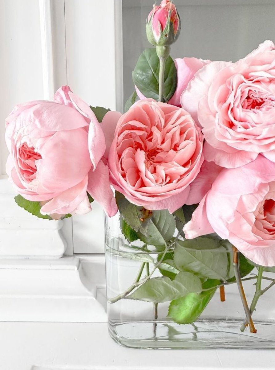 Elle Lookbook tweet media