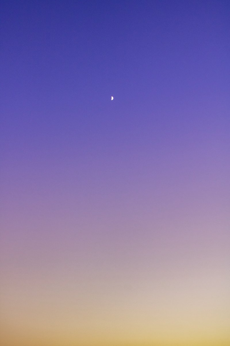 れい | Rei tweet media