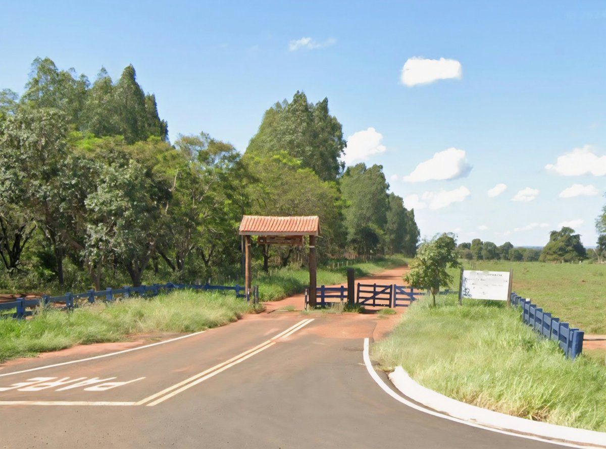 Pecuária Brasil 🐂🇧🇷 tweet media