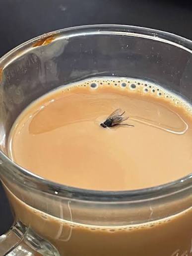 عبدالمجيد عبدالله tweet media