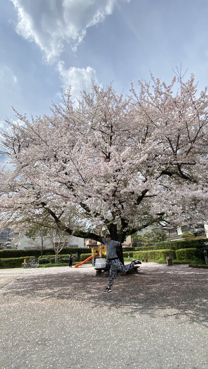 PERADObilliards's tweet photo. 桜が満開ですね🌸

本日も19〜翌2時🕑️営業です
飲み放題料金のみ朝5時まで延長です

#東久留米でビリヤードダーツカラオケ飲み放題 https://t.co/dcUjkifn9l