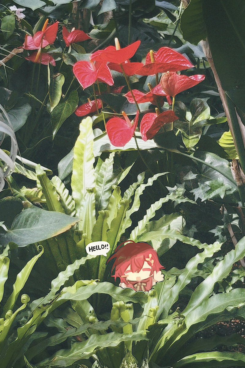 mimimizamii。O🍓。o🍧 tweet media