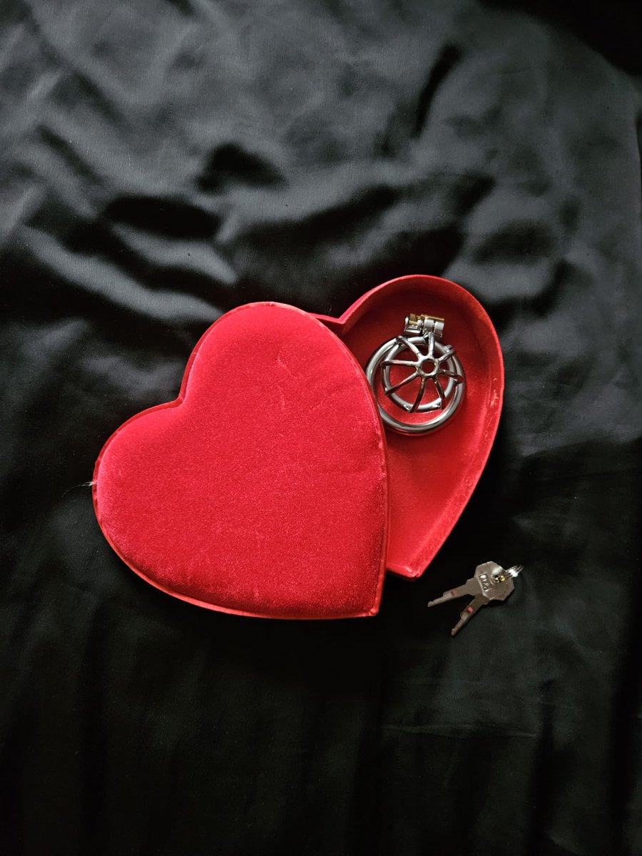 Op gebied van Chastity bied ik een 24/7 jaarcontract online of reallife.
Met opdrachten, appcontact, leefregels en strafpunten.
Heb je geen ervaring, dan start je met een training.
Wil je meer weten, stuur een dm of mail me info@meestereslouise.nl
X
#oneyearchastity