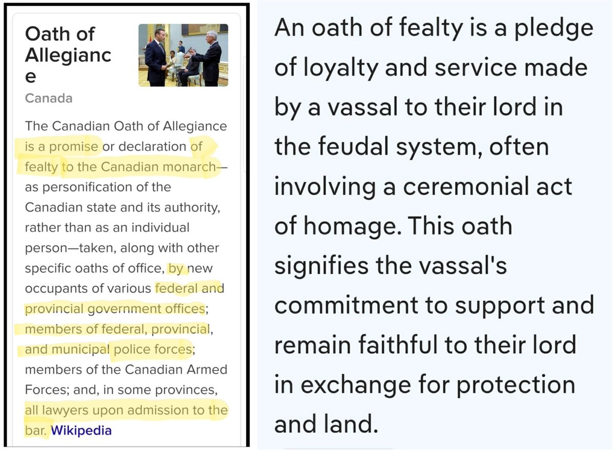 Found_Alive tweet media