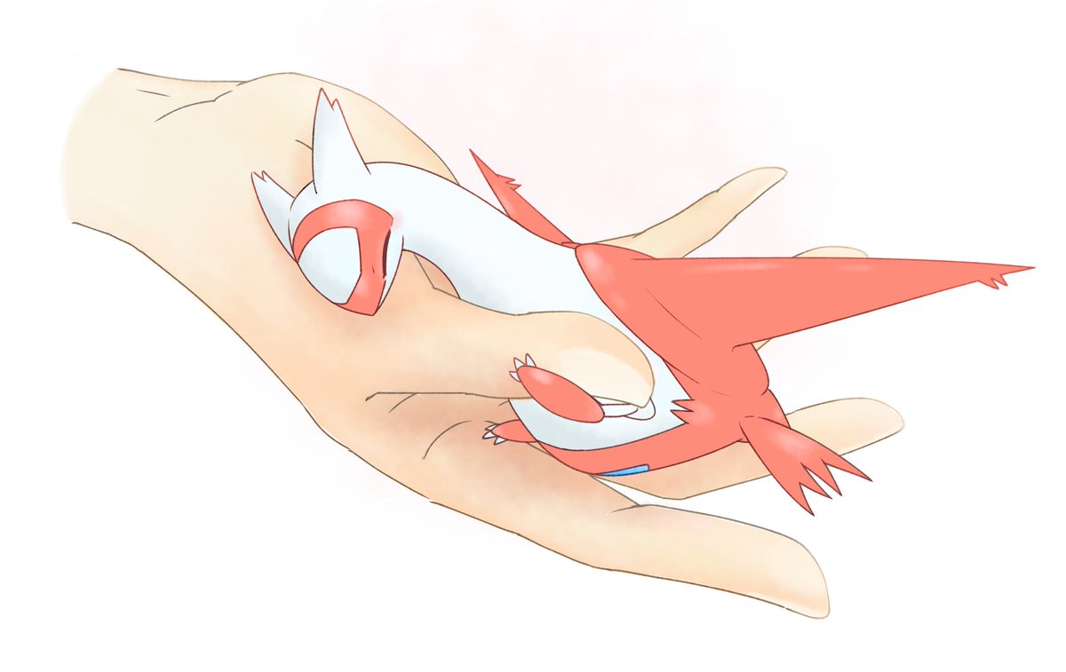 らときっすぅん🐝 tweet media