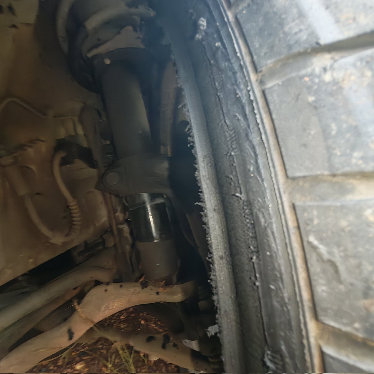 Ben Malubane tweet media