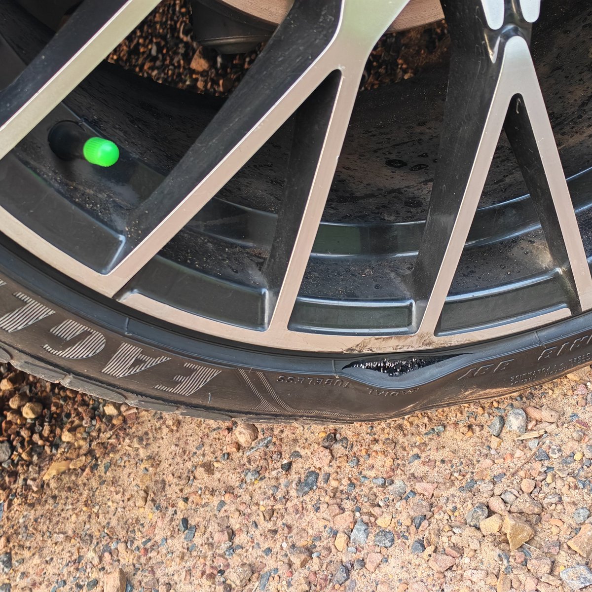 Ben Malubane tweet media