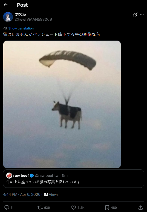 Xdee tweet media
