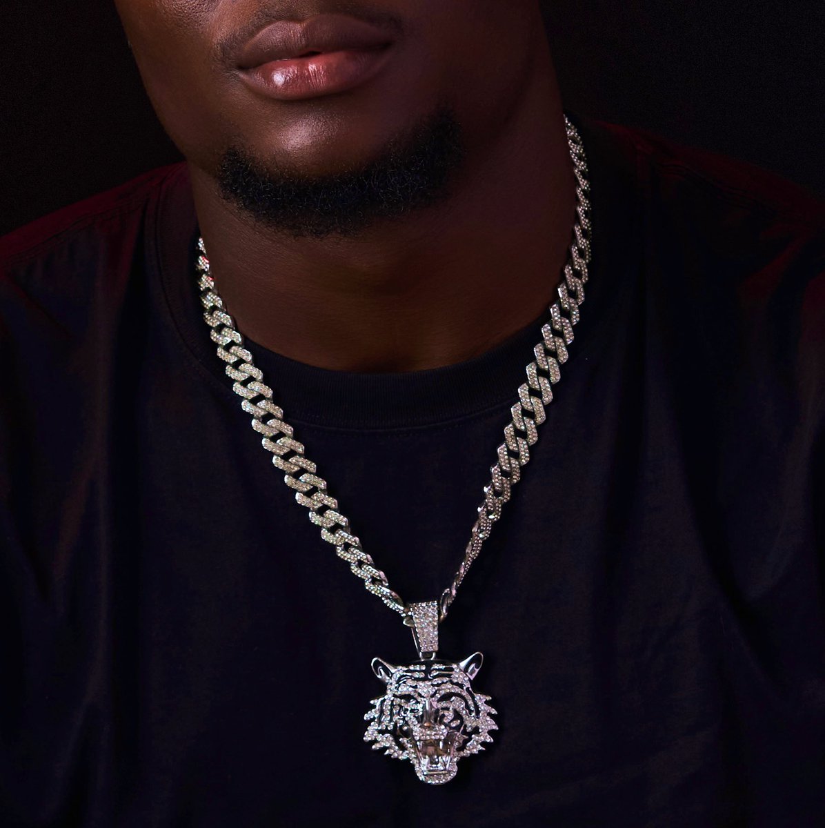 The Tiger tweet media