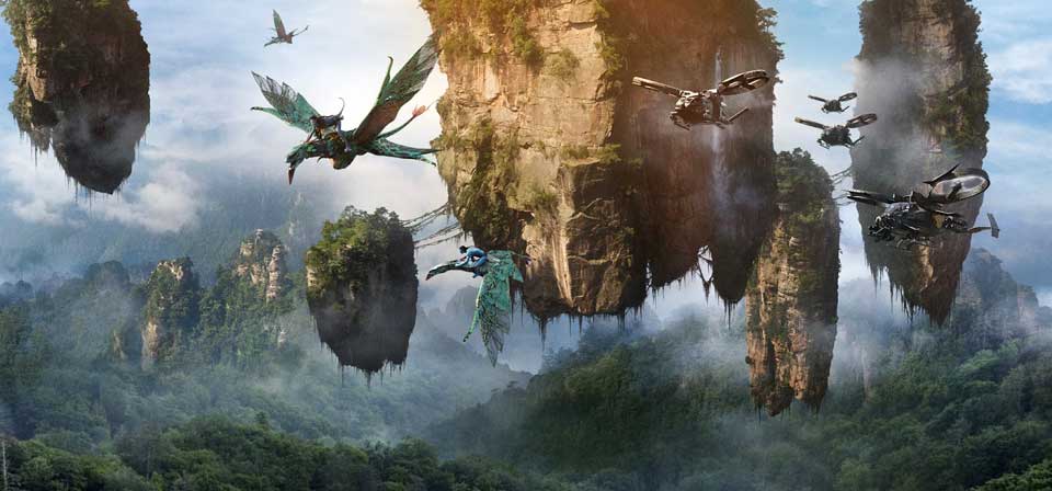 Movies In Focus tweet media