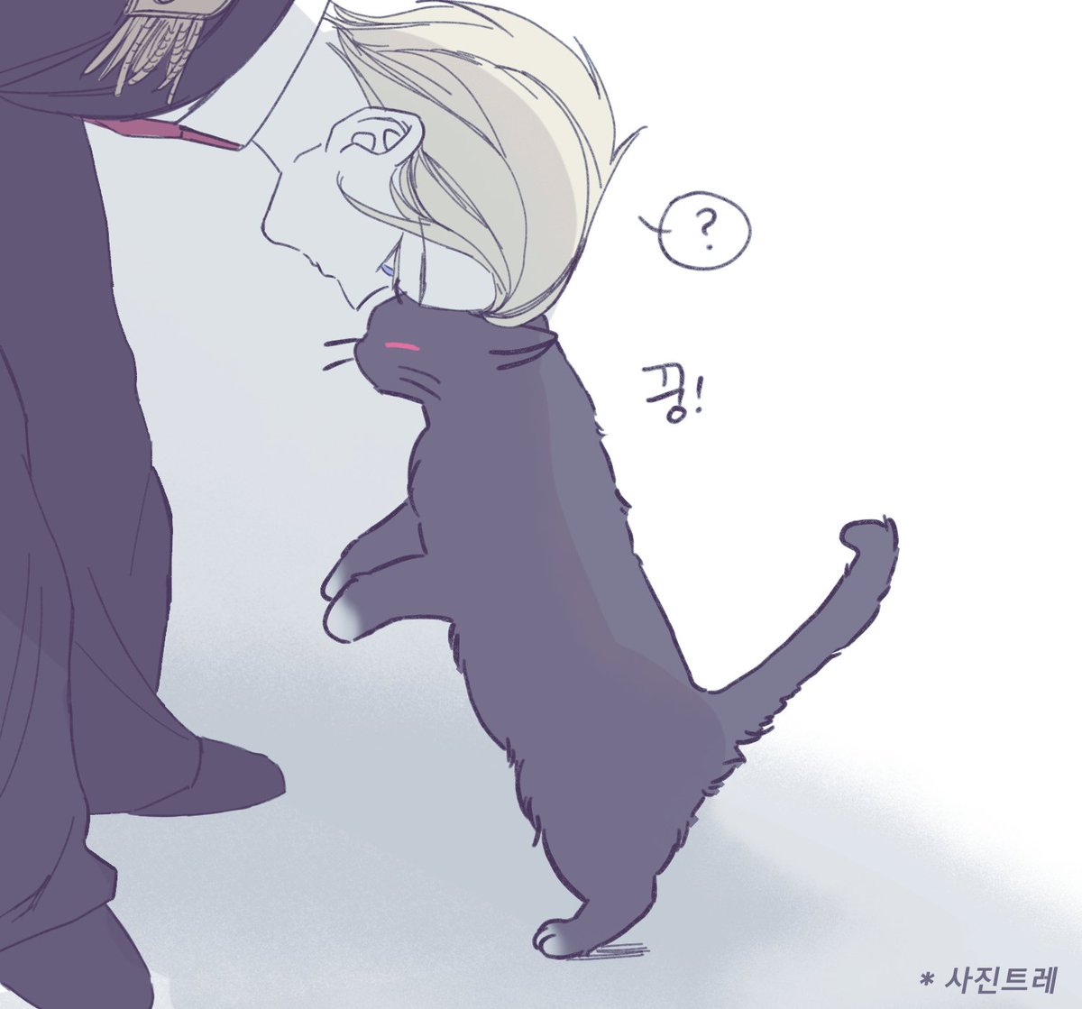 SHOT🎀 tweet media