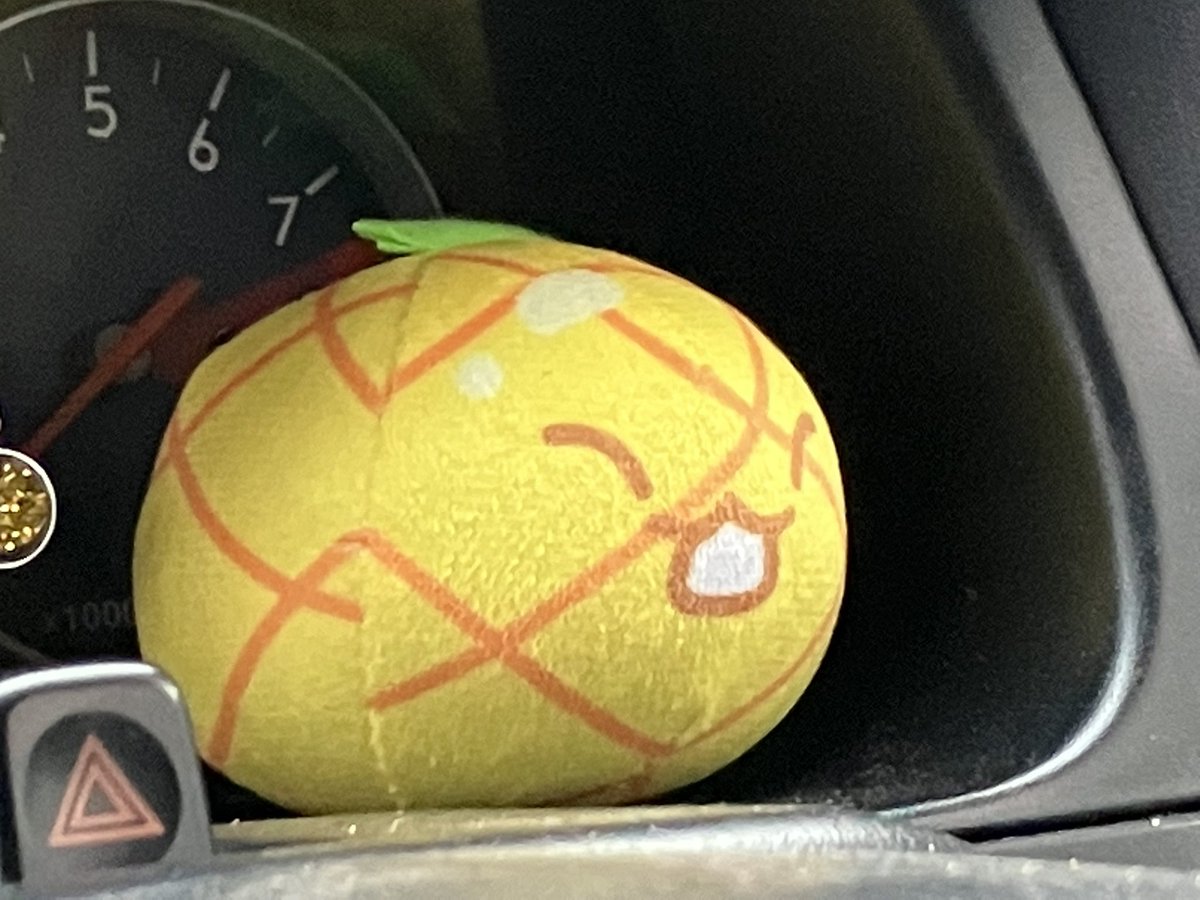 猿ちゃん tweet media