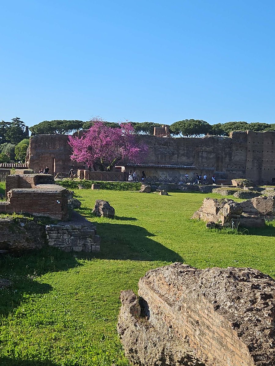 Евгений Понасенков tweet media